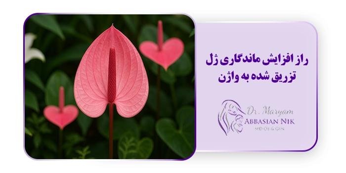 راز افزایش ماندگاری ژل تزریق شده به واژن